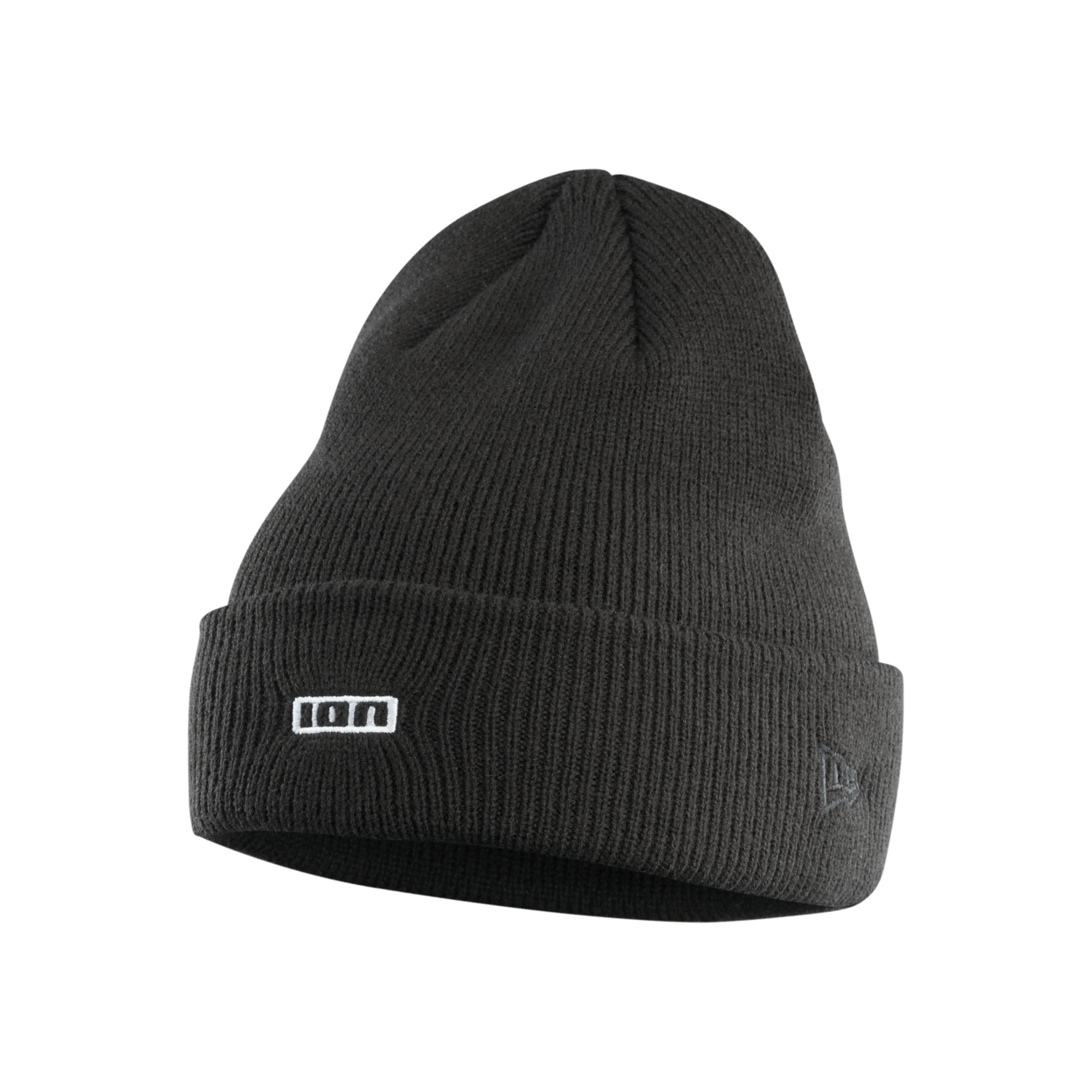 ION Beanie Logo 2024