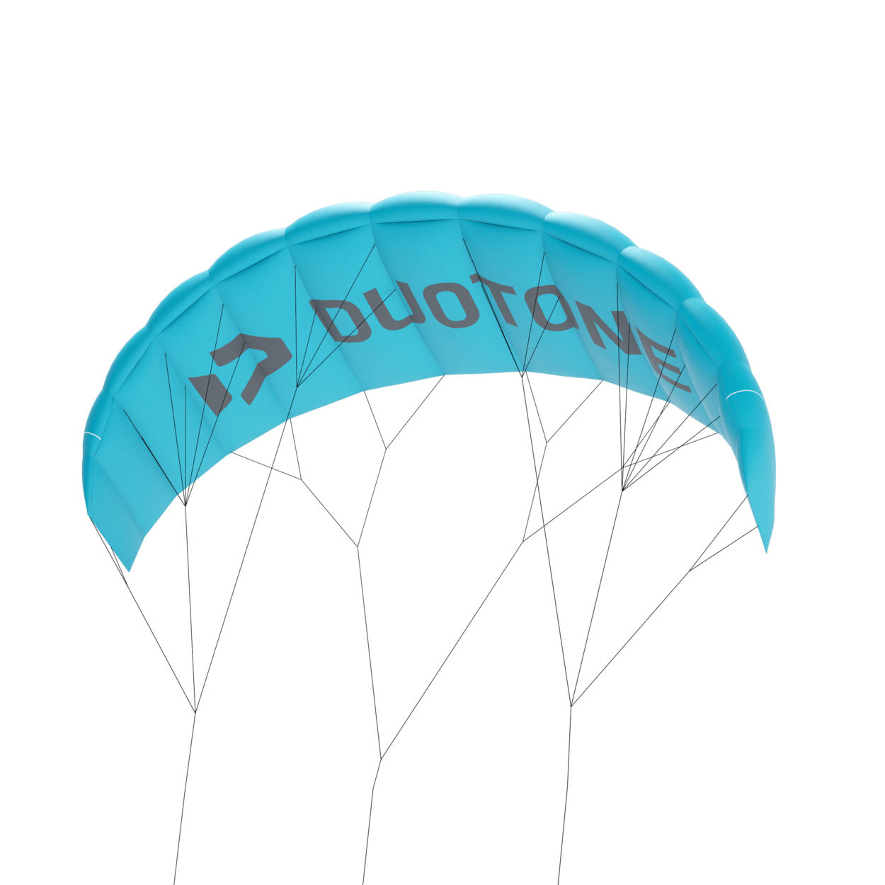 Duotone Trainer Kite Lizard 2021