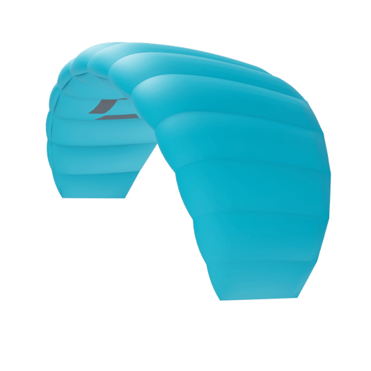 Duotone Trainer Kite Lizard 2021